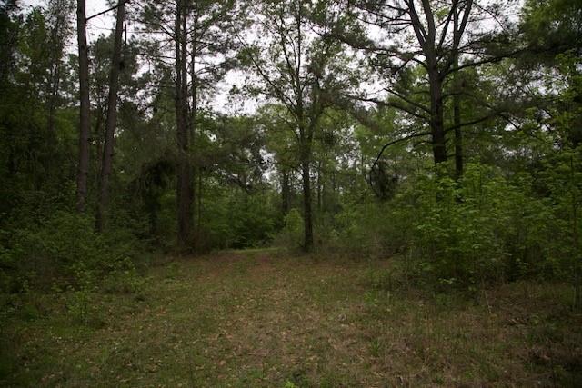 258 Hearne Road