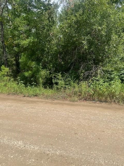 Lot 4 Klein Drive Livingston TX 77351