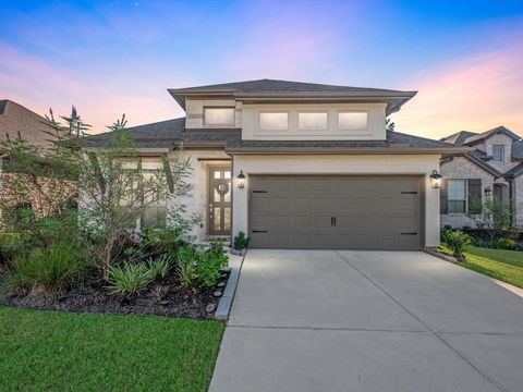 17371 Merigold Heights Drive Conroe TX 77302