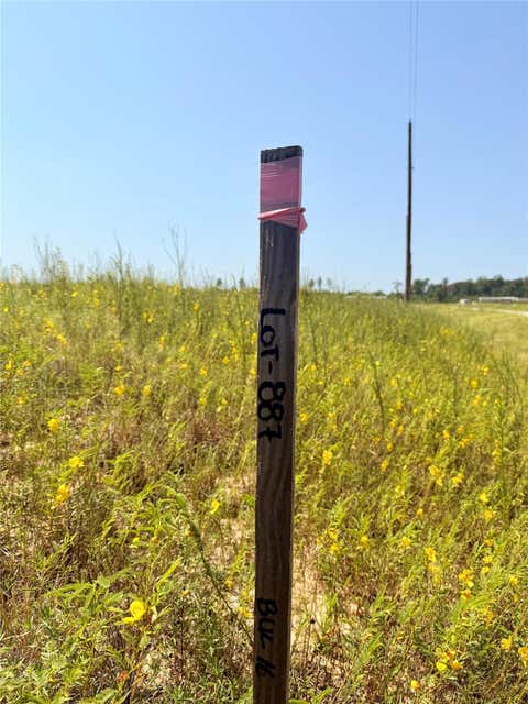 Photo of 817 Road 591505, Cleveland, TX 77327 (MLS # 41660154)