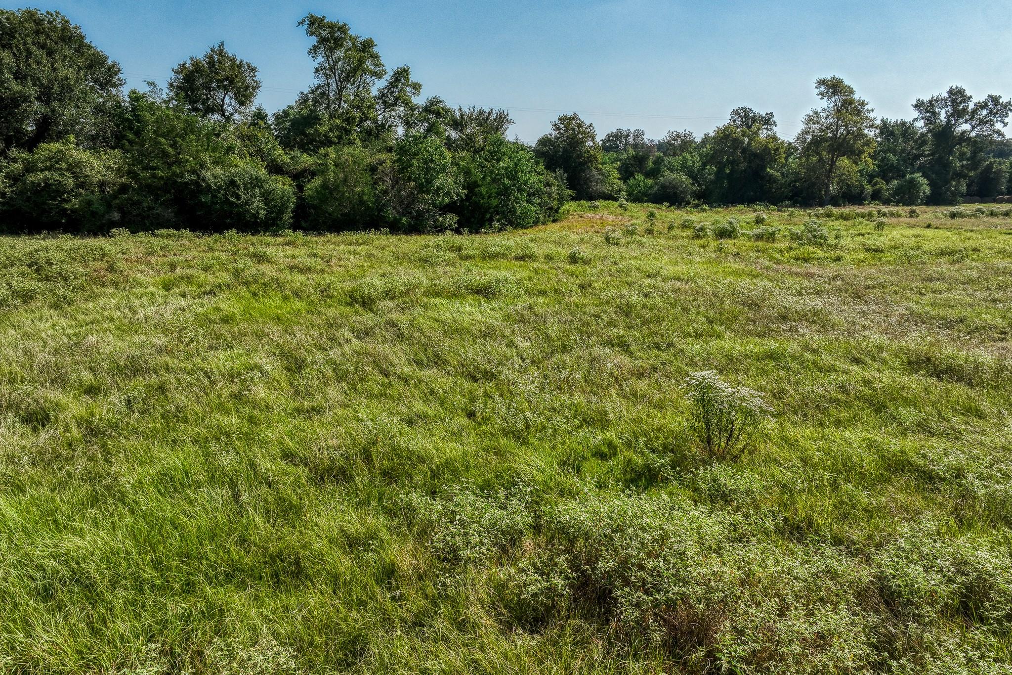 31 Pee Dee Lane Lane