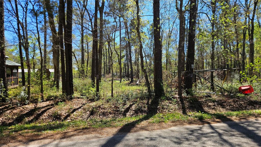 Photo of 15570 Firewood Drive, Conroe, TX 77303 (MLS # 16945174)