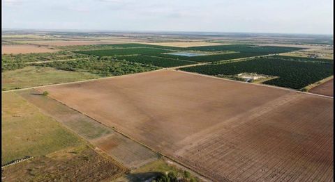 Photo of 2900 County Road, Lasara, TX 78542 (MLS # 68714566)