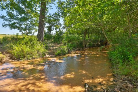 Photo of 10 Cr 305 Road, Navasota, TX 77868 (MLS # 83151480)