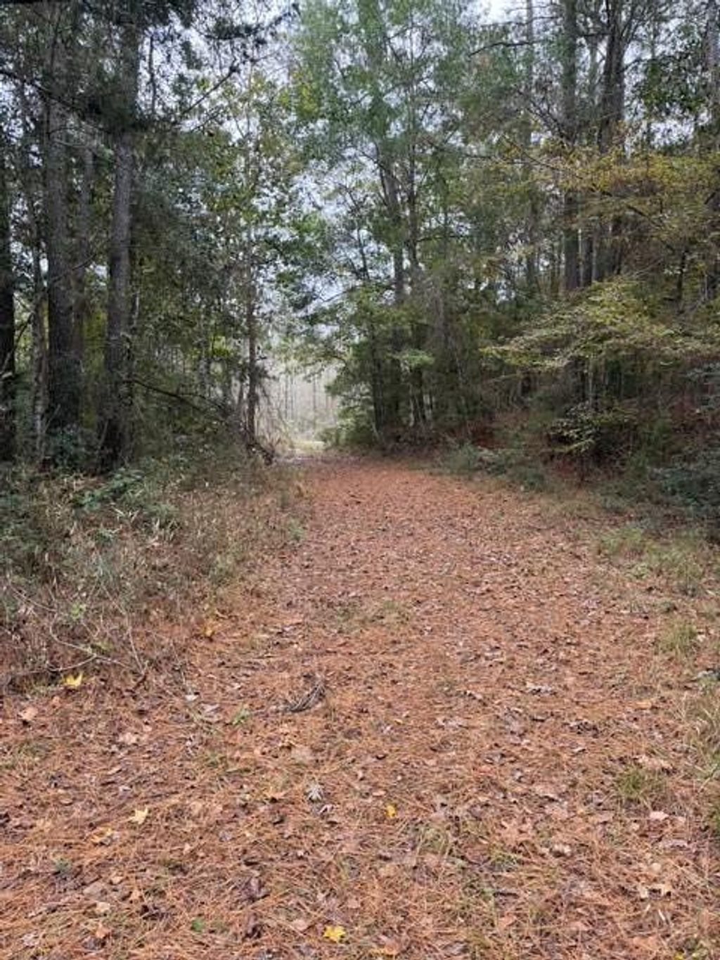 Photo of 0 Dillon Road, Dallardsville, TX 77332 (MLS # 31763852)