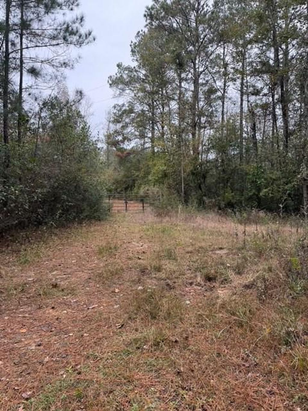 Photo of 0 Dillon Road, Dallardsville, TX 77332 (MLS # 31763852)