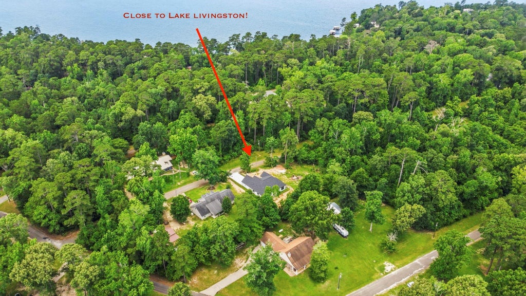 Photo of 162 Holly Crst, Livingston, TX 77351 (MLS # 35780769)