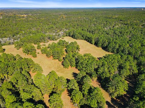 Vacant Land For Sale - TBD Chandler Lane<br/> Walker County, Huntsville, TX 77320