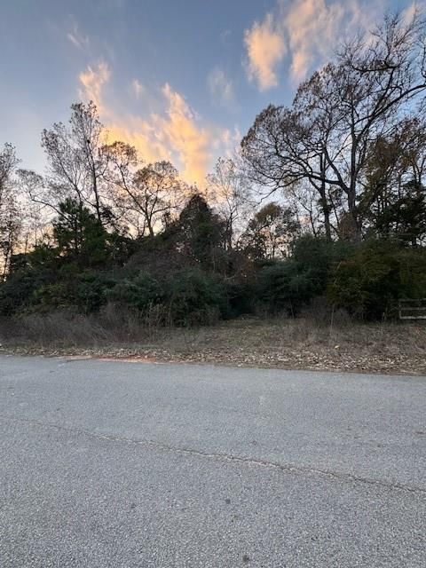 11305 Camp Creek Way Willis TX 77378