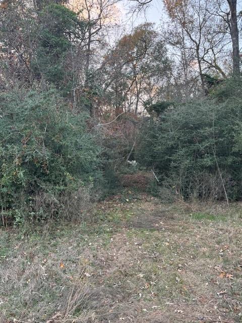 11305 Camp Creek Way