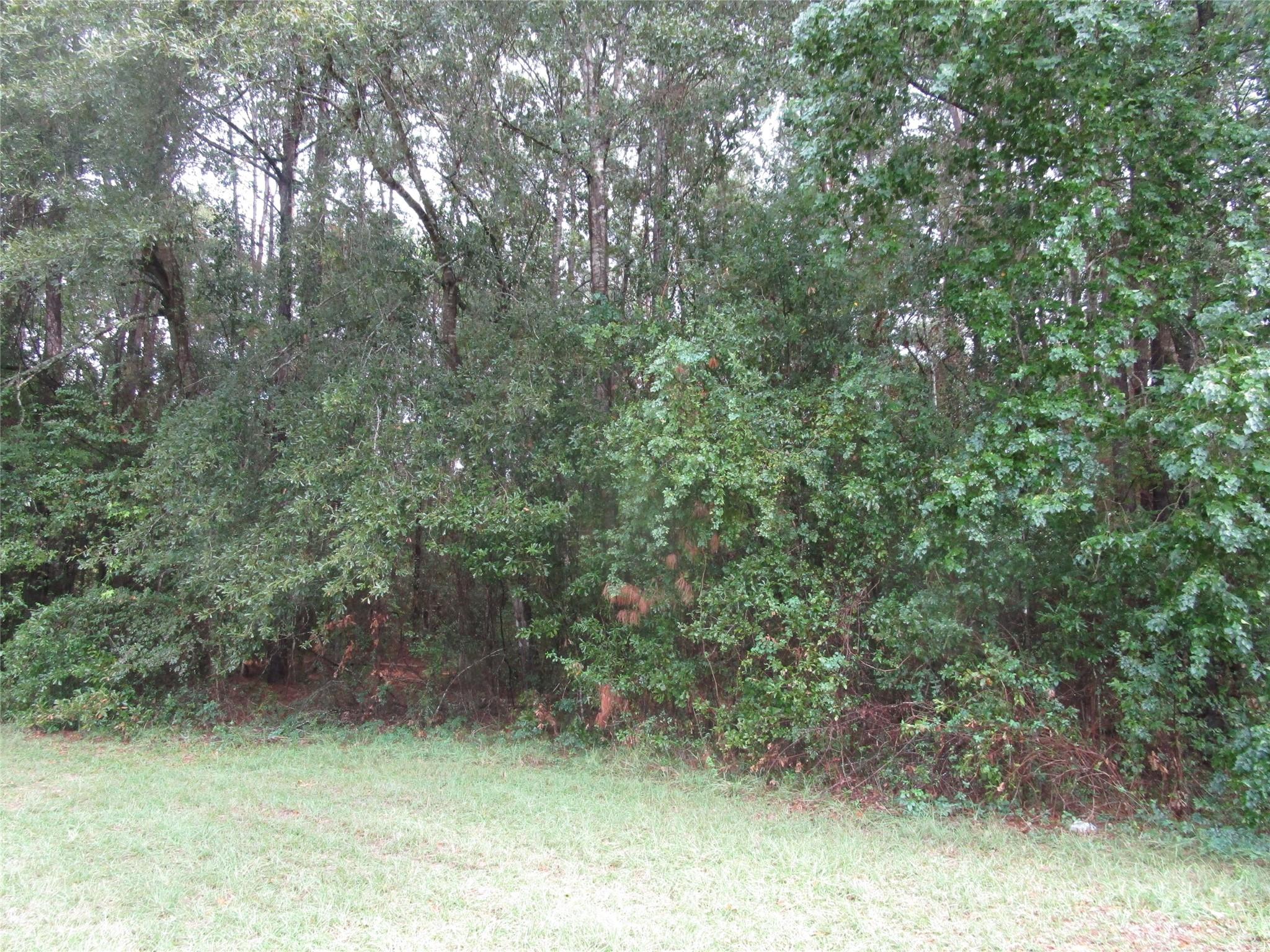 Lot 9 Stephens Forest