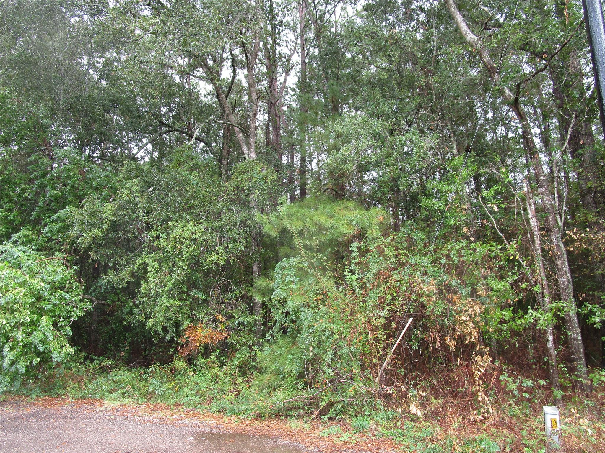 Lot 9 Stephens Forest