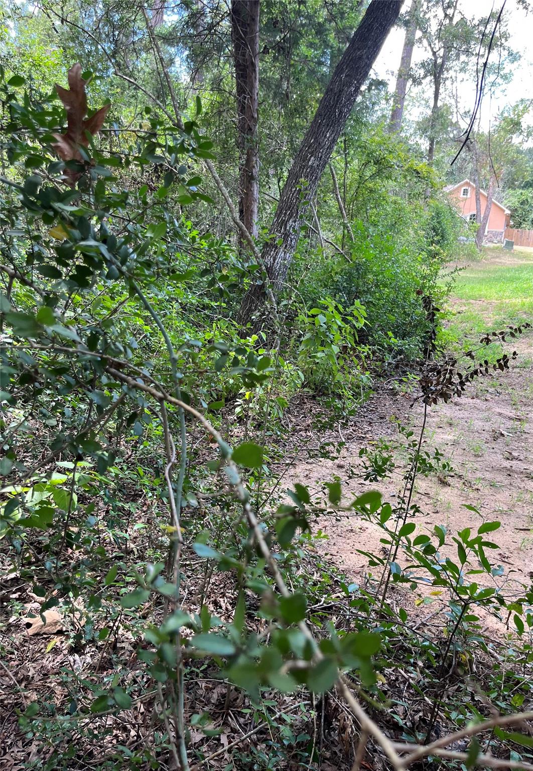 12147 Mustang Avenue