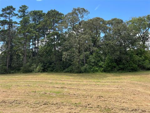 12147 Mustang Avenue Willis TX 77378