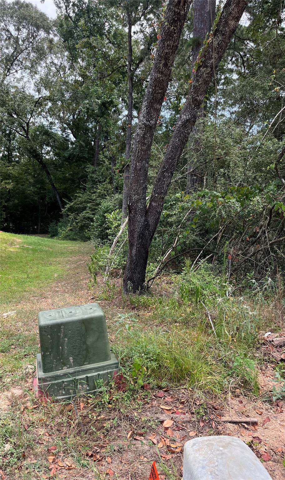 12147 Mustang Avenue