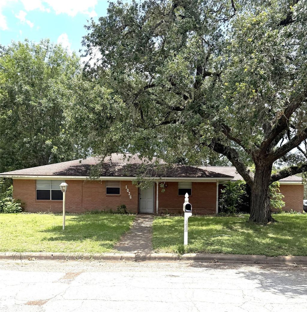Photo of 1036 8th Street, Hempstead, TX 77445 (MLS # 67491464)