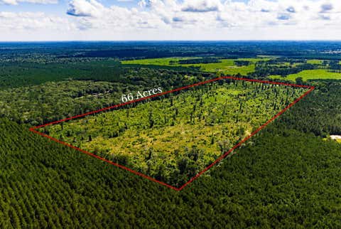 Photo of 1947 County Road 2243, Cleveland, TX 77327 (MLS # 43823042)