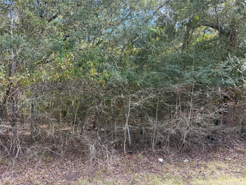 Photo of 0 Bayou Drive, Danbury, TX 77534 (MLS # 14033128)