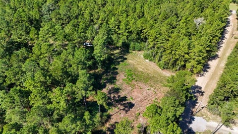 Photo of TBD County Road 4416, Spurger, TX 77660 (MLS # 31657106)