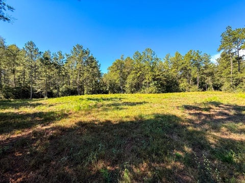 Photo of TBD County Road 4416, Spurger, TX 77660 (MLS # 31657106)