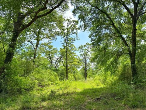 Photo of 100 Cr 408, Normangee, TX 77871 (MLS # 25606227)