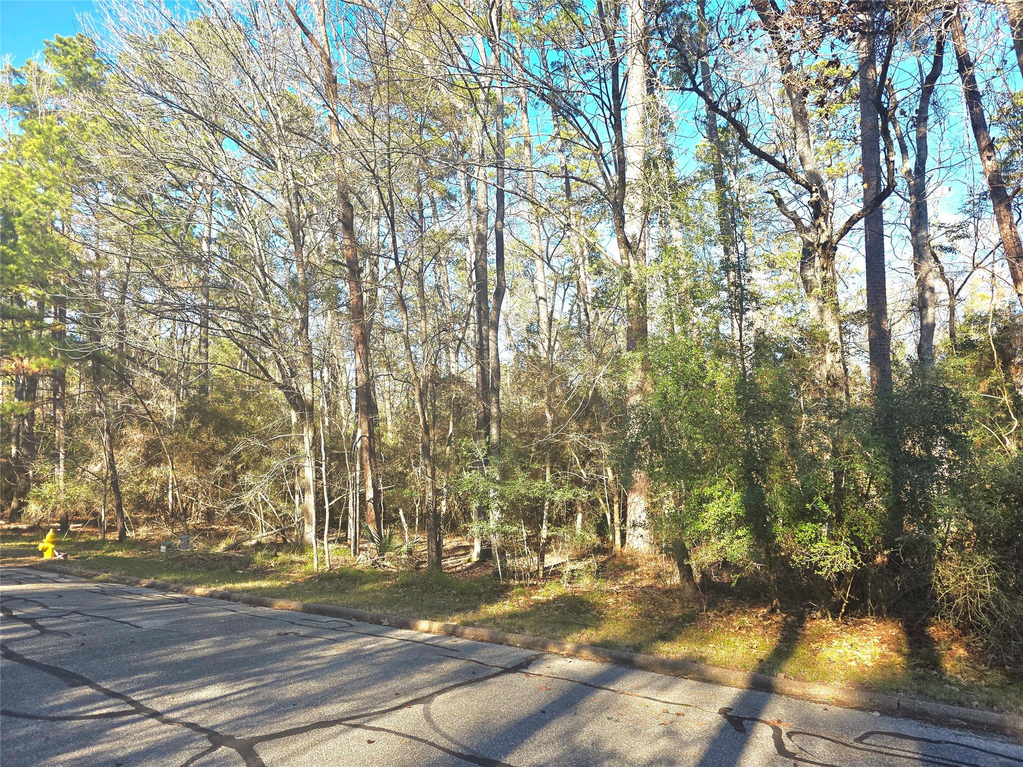 TBD Burmuda Dune Drive