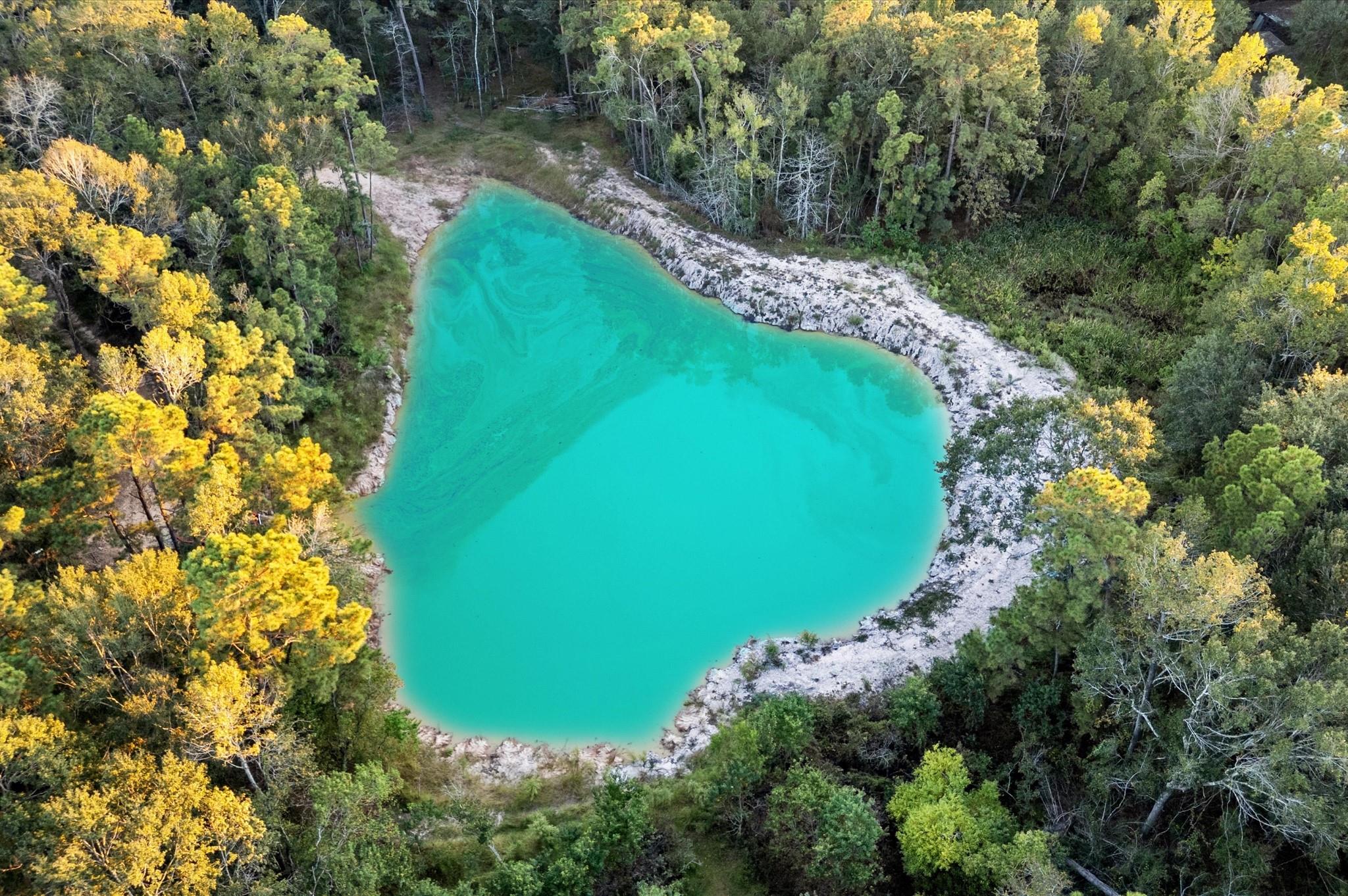 11415 Magnolia Bend Drive