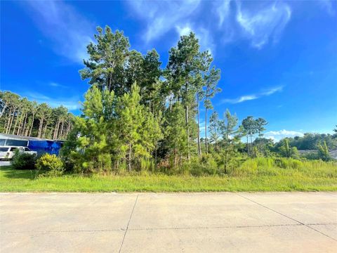 Photo of 124 County Road 3546, Cleveland, TX 77327 (MLS # 82492350)