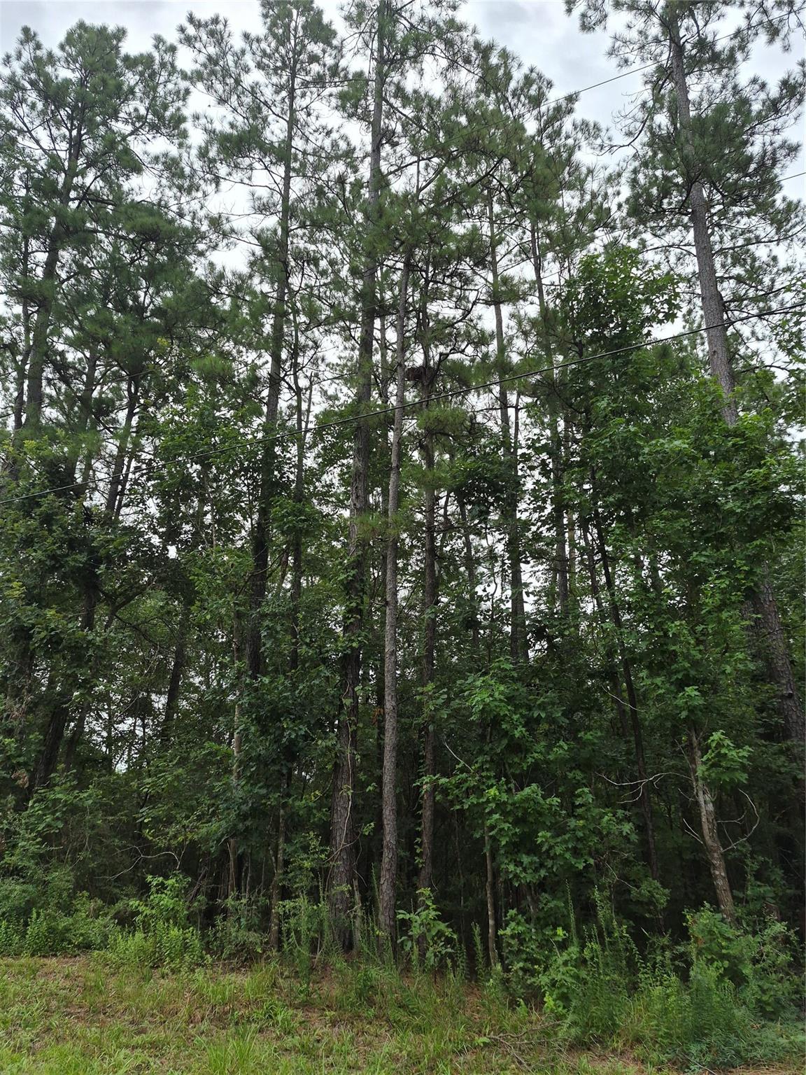 380 County Road 6494
