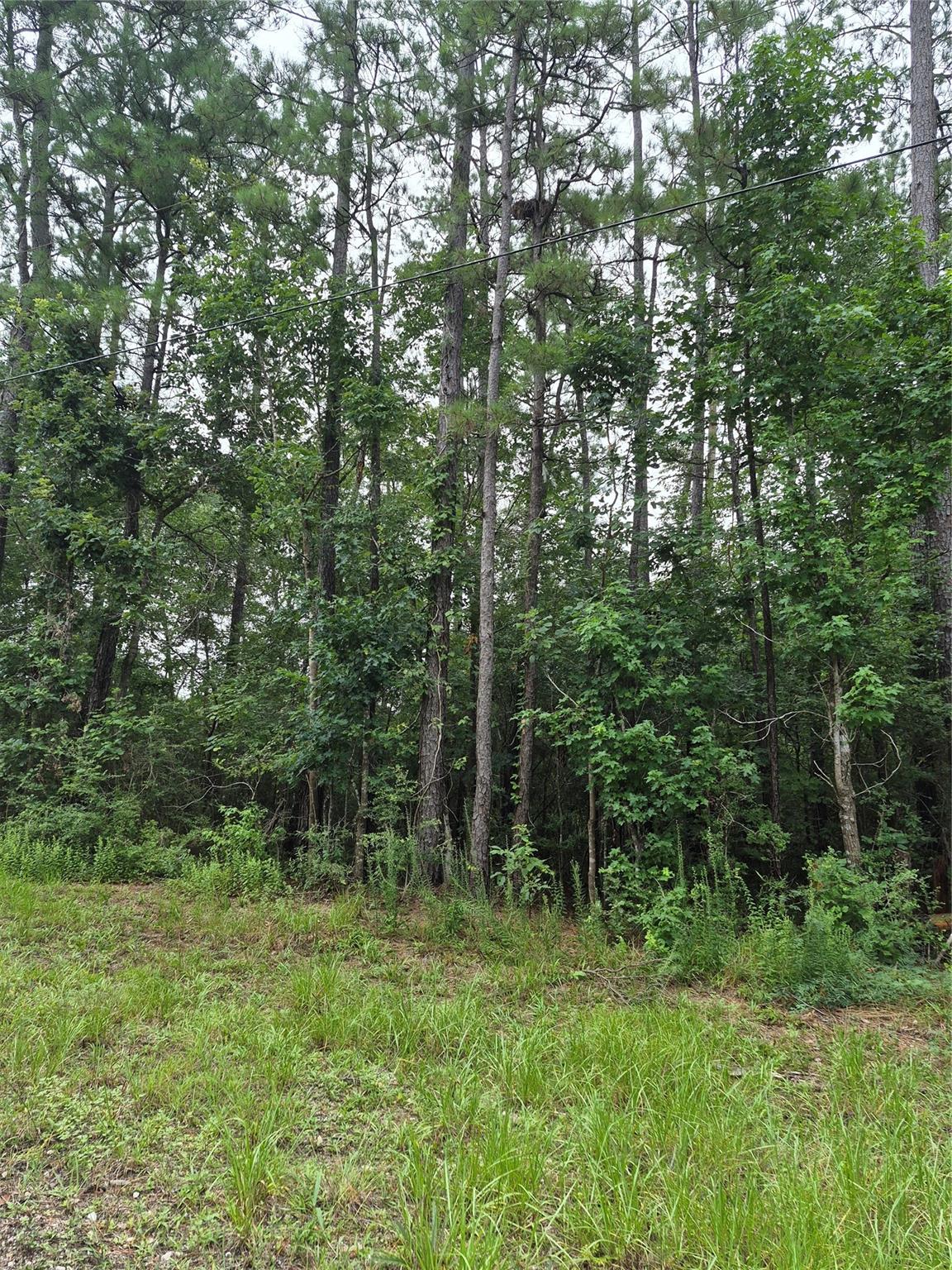 380 County Road 6494