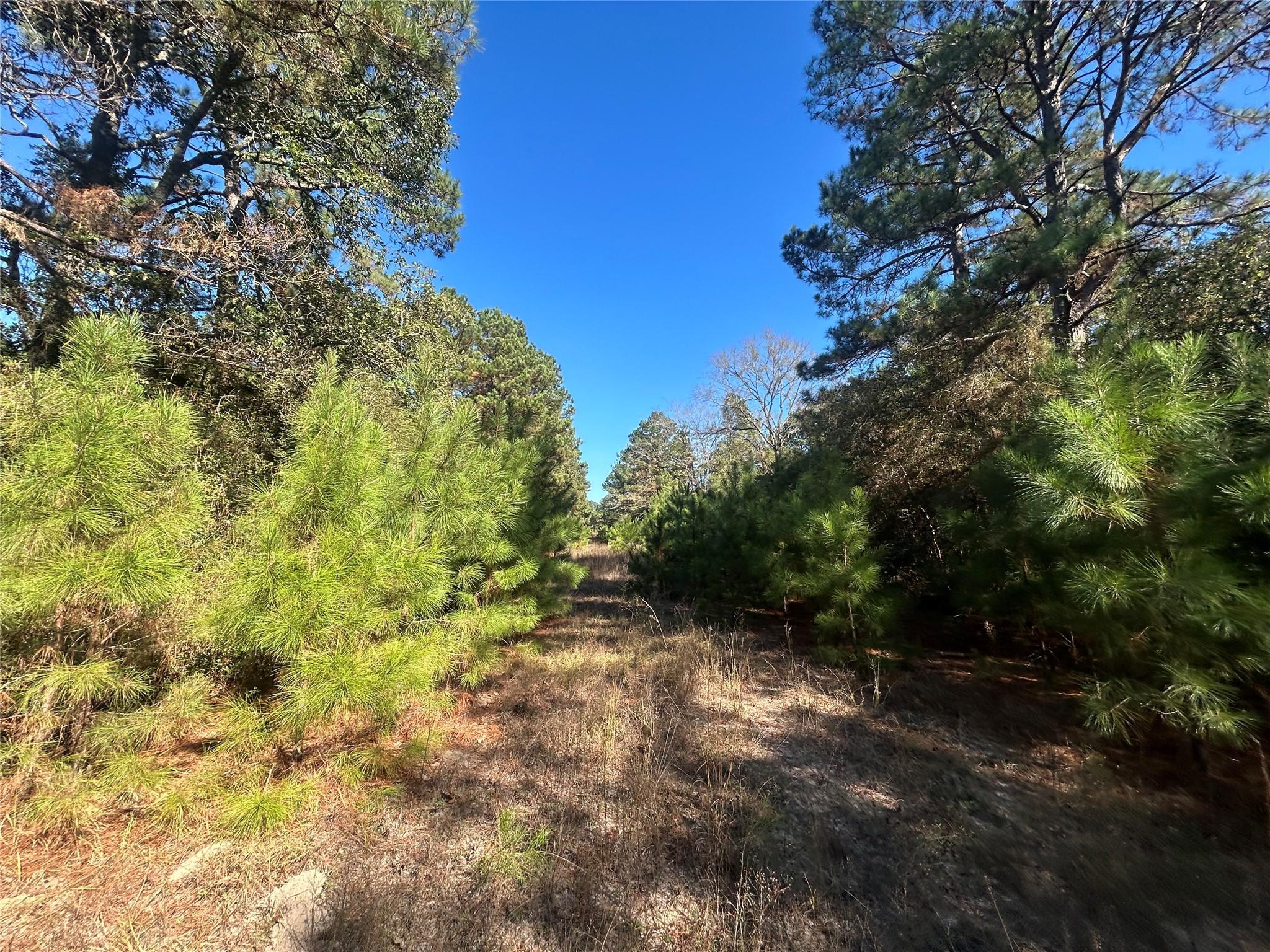 Lot 14 County Road 114