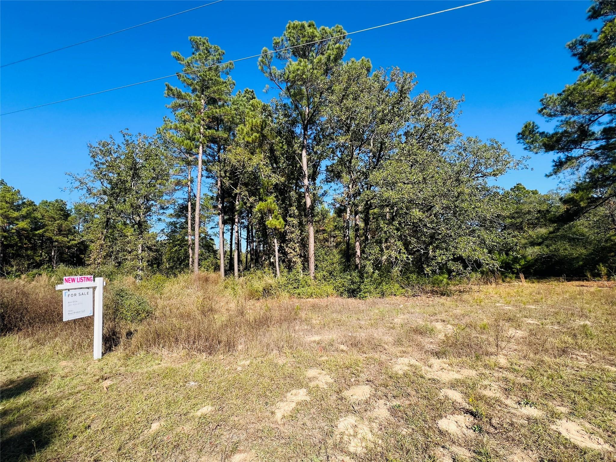 Lot 14 County Road 114