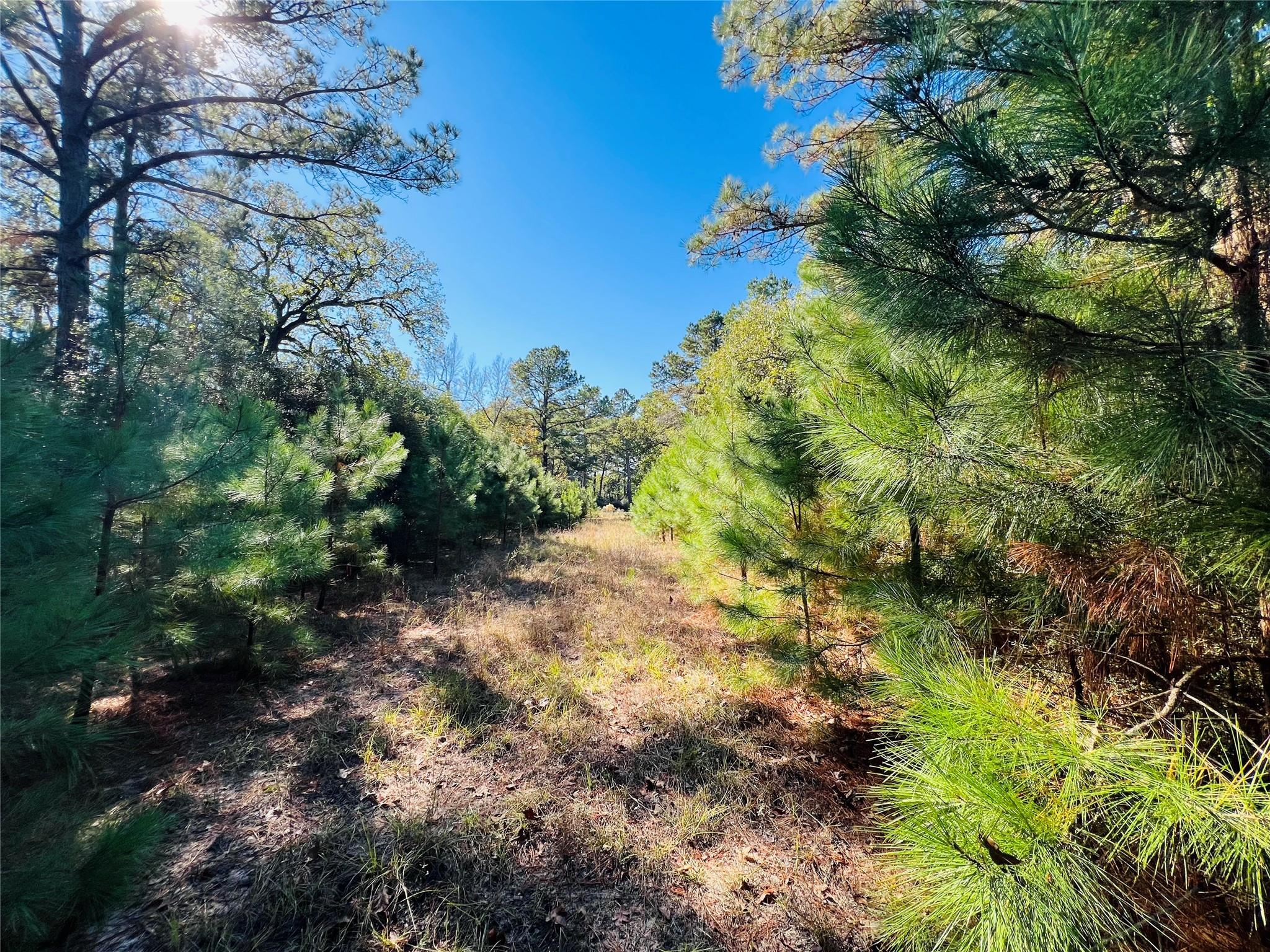 Lot 14 County Road 114