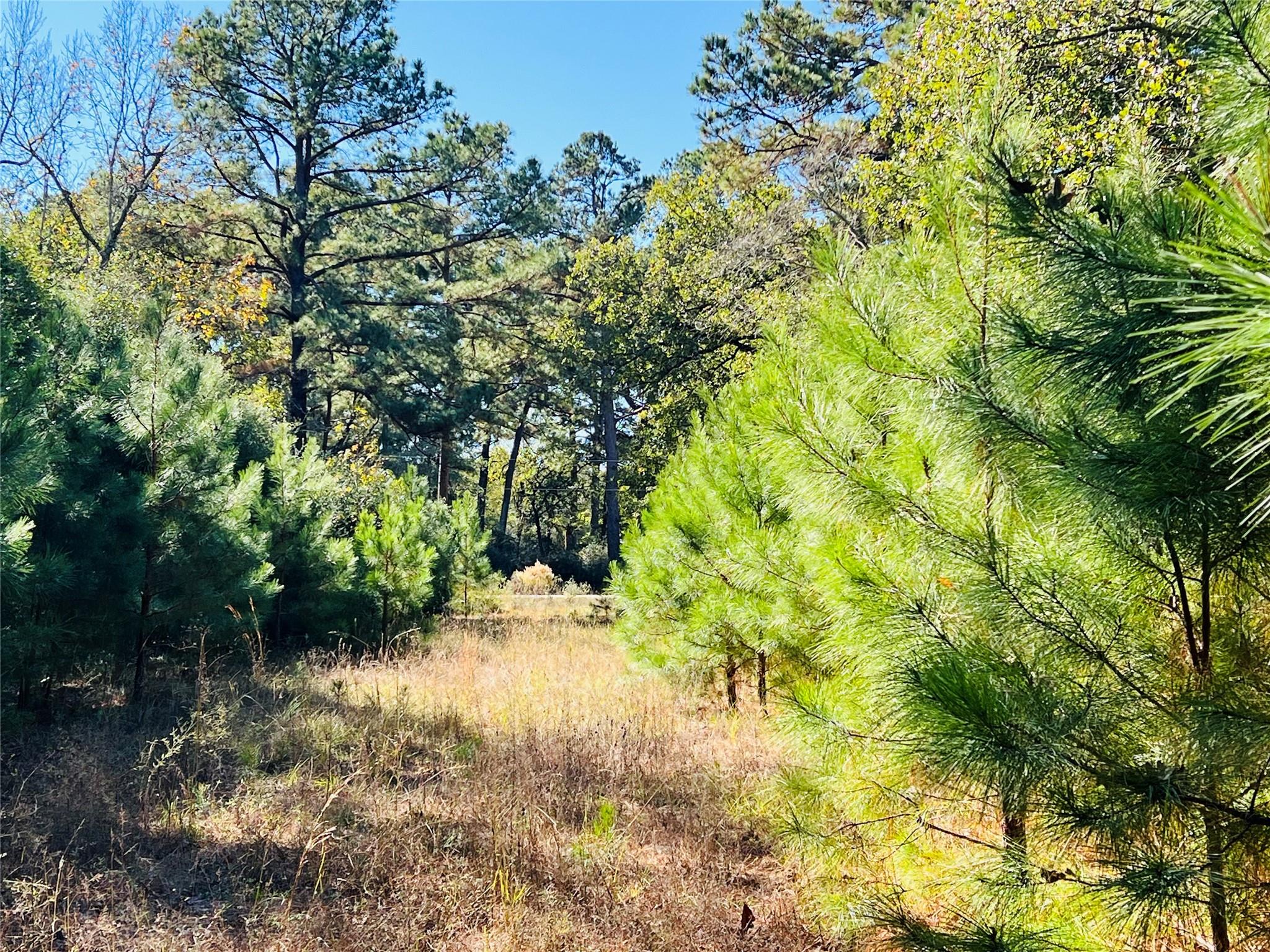 Lot 14 County Road 114