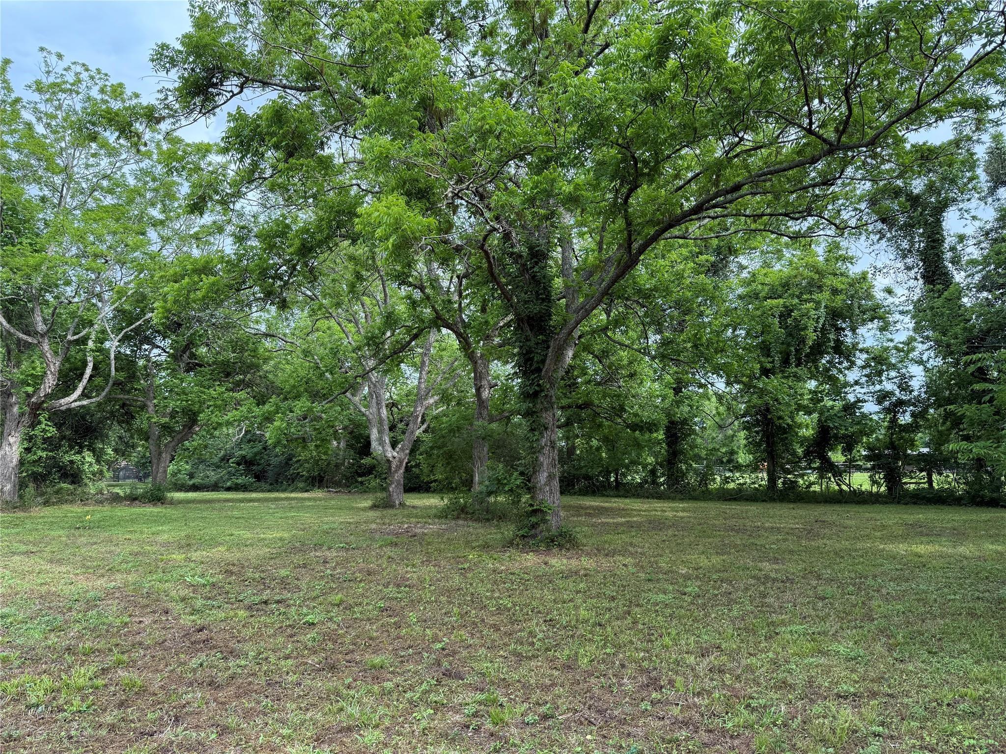 137 Fm 359 Rear Road