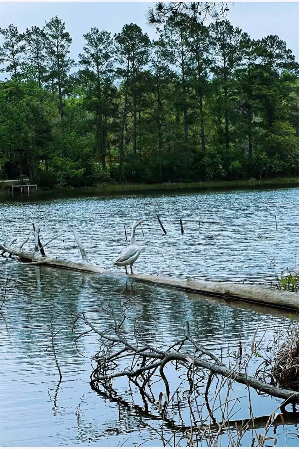 15689 Aspen Dr Drive