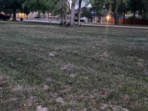 Photo of 21314 Briar Oak Drive, Humble, TX 77338 (MLS # 43008641)