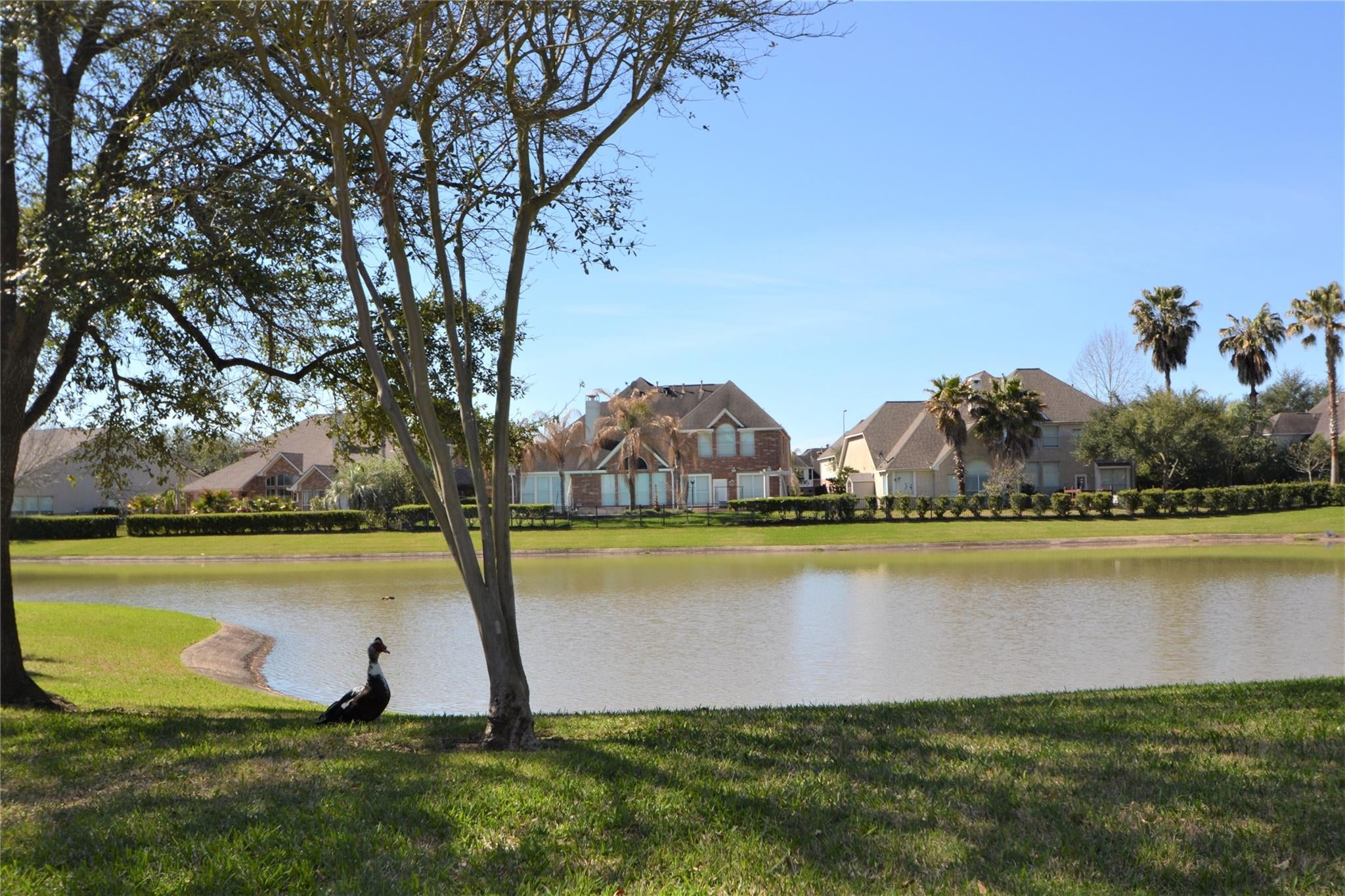 1711 Emma Cove Court