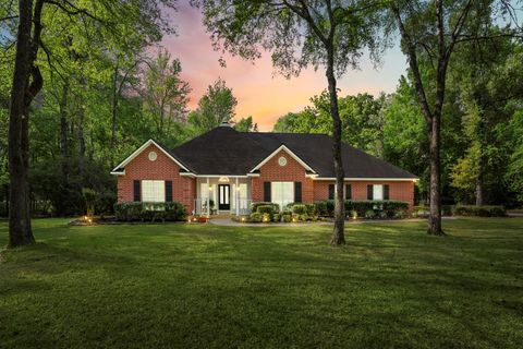 8911 Diamante Drive Magnolia TX 77354