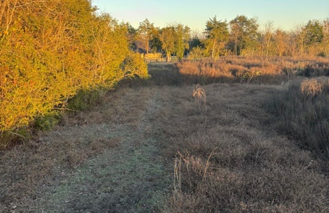 Vacant Land For Sale - LOT 26 Winding Branch<br/> Washington County, Chappell Hill, TX 77426