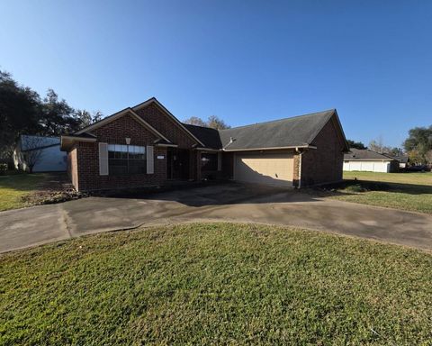 Photo of 2571 Pinehurst Drive, West Columbia, TX 77486 (MLS # 48147758)