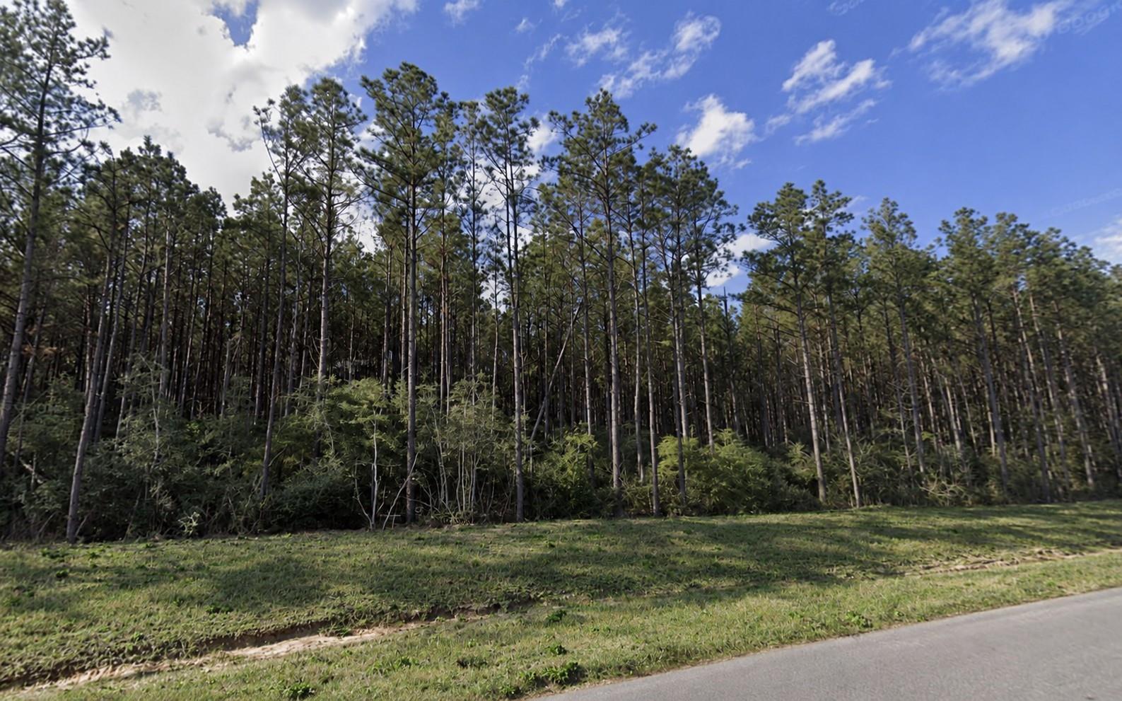 15997 Ridge Oak Road