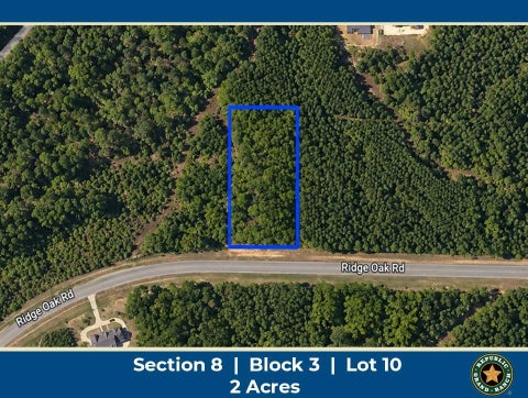 Photo of 15997 Ridge Oak Road, Willis, TX 77378 (MLS # 54179905)