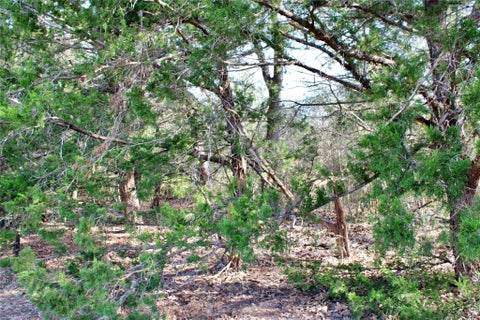 Photo of TBD Parcel 5 Lobo Lane, Columbus, TX 78934 (MLS # 71663720)