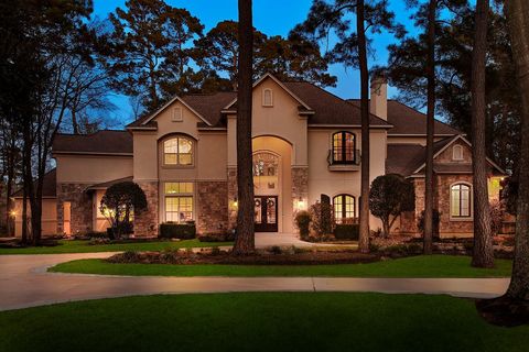 32 Palmer Woods Drive The Woodlands TX 77381