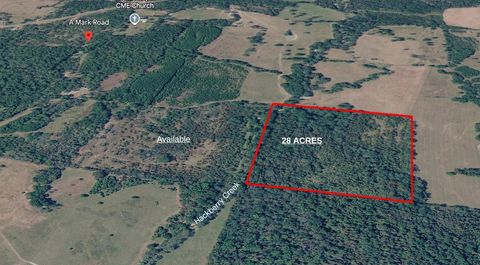 Photo of 0 Amark Rd Road, Apple Springs, TX 75926 (MLS # 55582781)