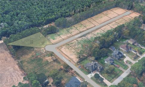 Vacant Land For Sale - LOT 176 Indigo Way<br/> Porter, TX 77365