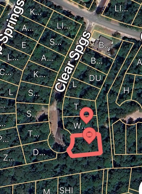 Vacant Land For Sale - TBD N Clear Springs Road<br/> Trinity County, Trinity, TX 75862