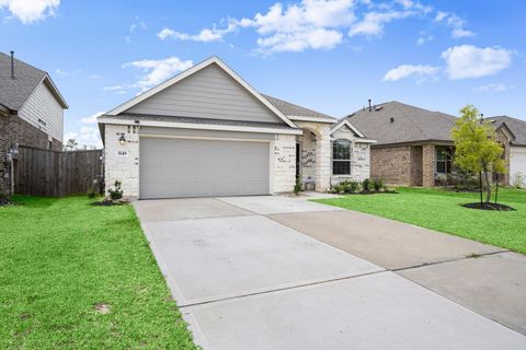 3149 Catalonion Court Conroe TX 77301
