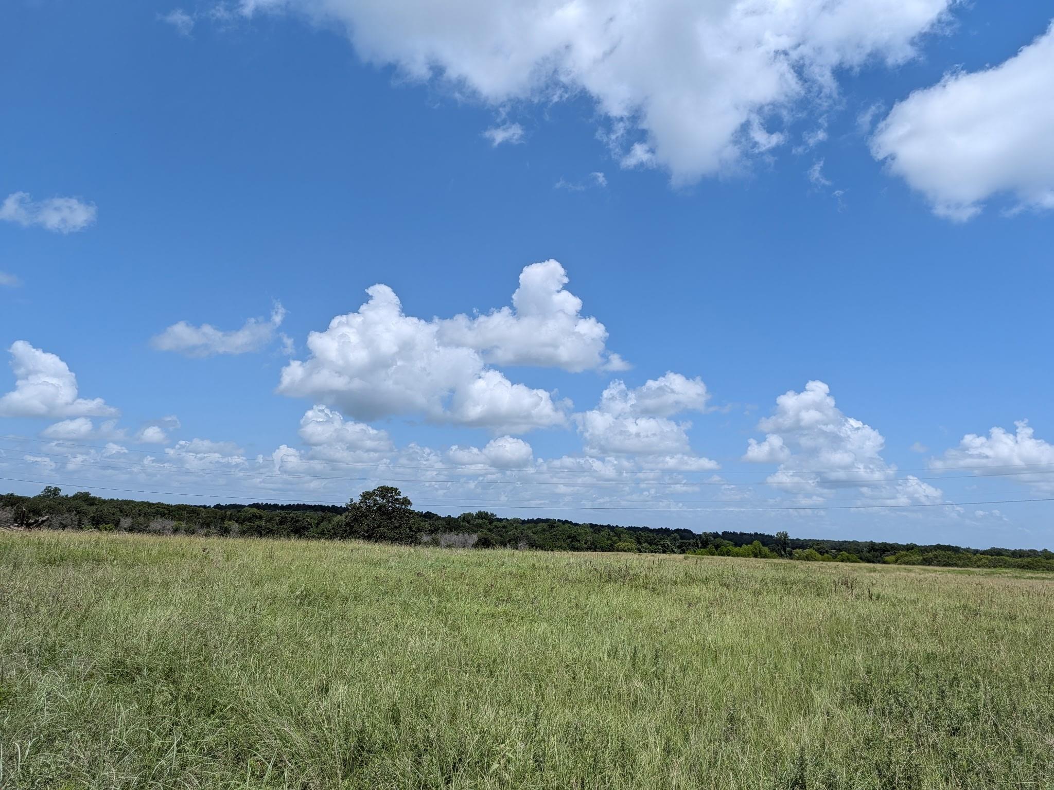 0016 County Road 115